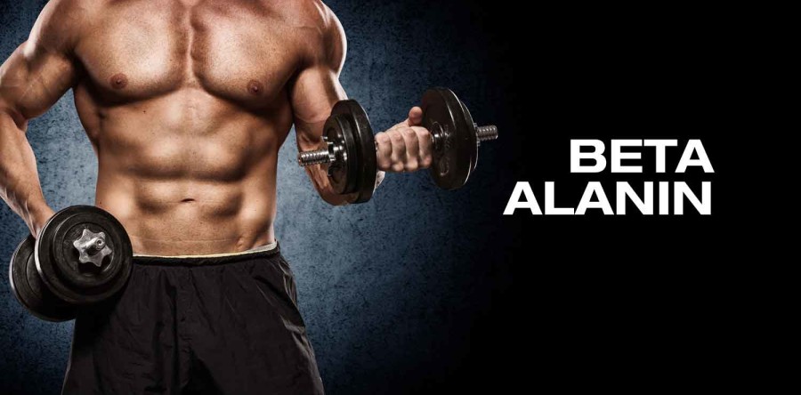 Beta Alanin – das neue Wundermittel am Himmel der Nahrungsergänzungsindustrie?