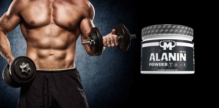 Mammut Beta Alanin Powder